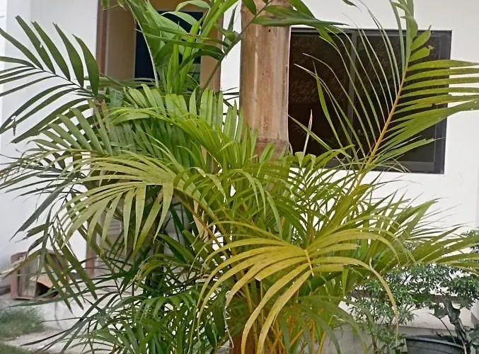 Bed & Breakfast Lakehouse Badian